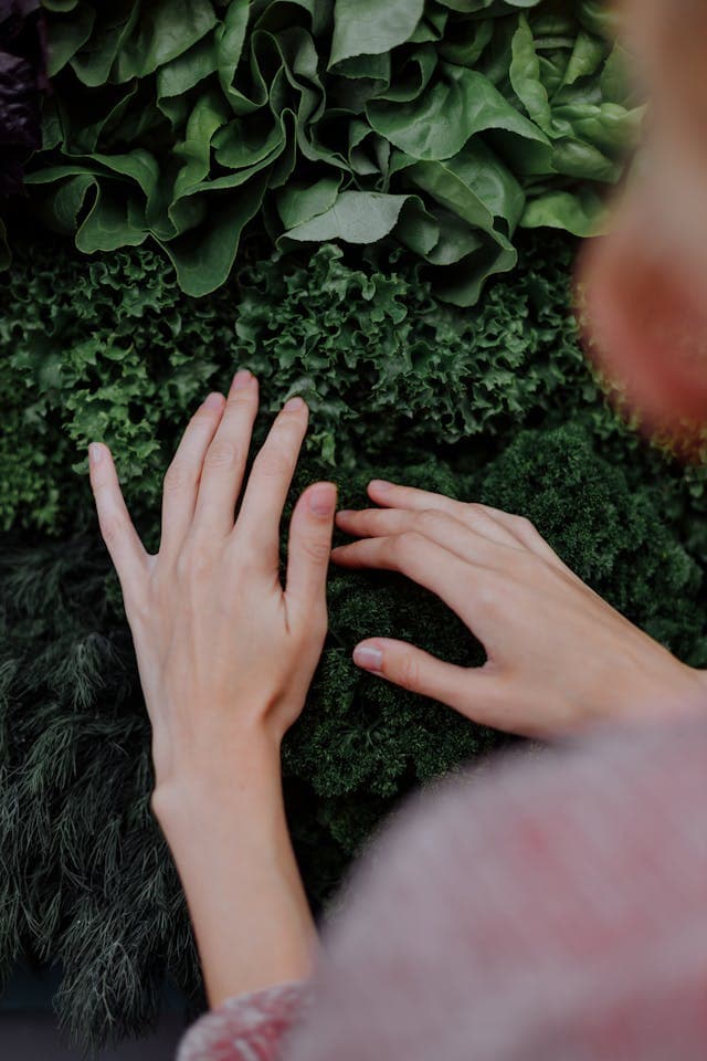 Vertical Gardening 101: Maximize Space & Grow More in Small Areas